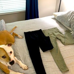 Leggings (dog not included)